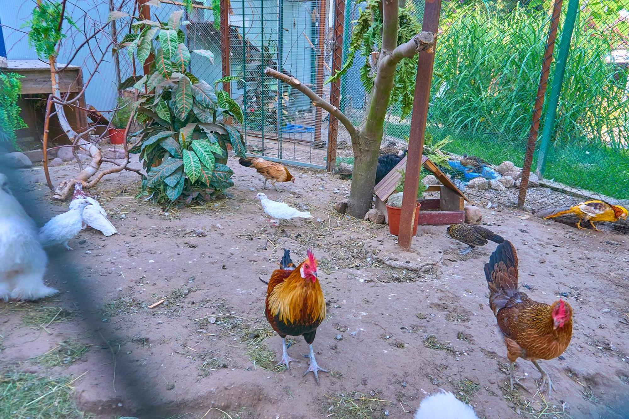 Bed and Breakfast Ow Sargus Владыславово Экстерьер фото