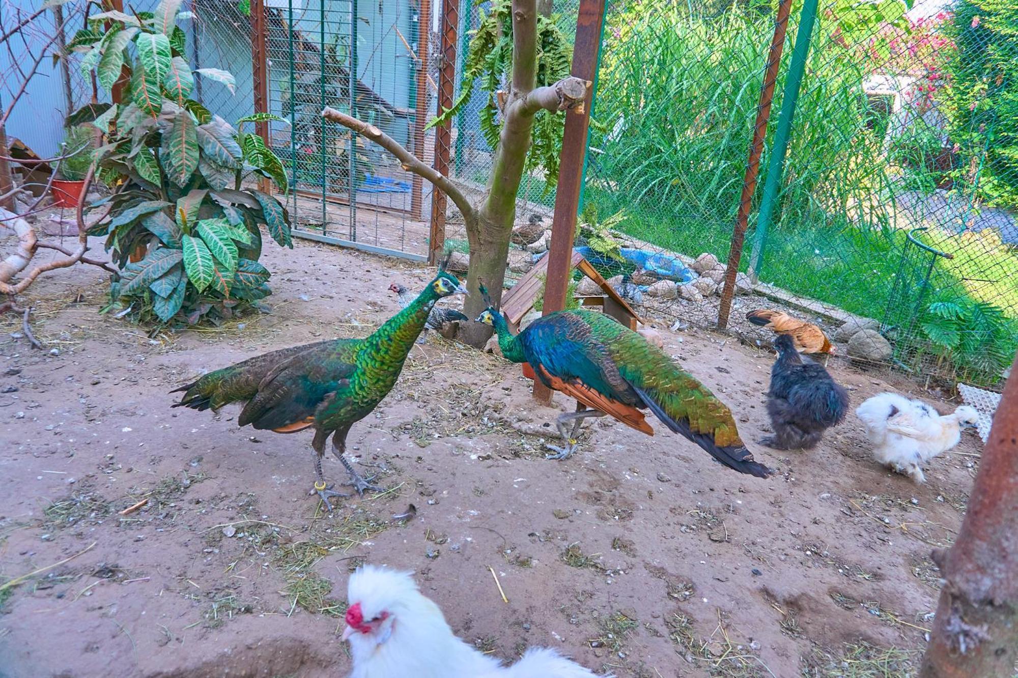 Bed and Breakfast Ow Sargus Владыславово Экстерьер фото